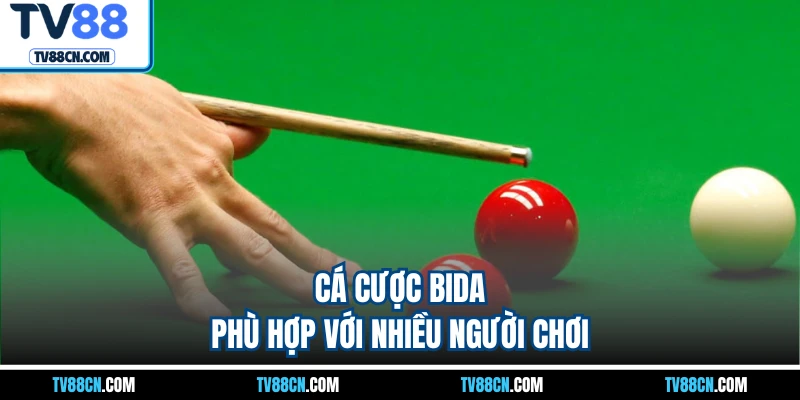 Cá cược bida phù hợp với nhiều người chơi