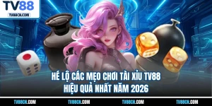 Hé Lộ Các Mẹo Chơi Tài Xỉu TV88 Hiệu Quả Nhất Năm 2026