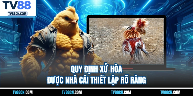 Quy định xử hòa được nhà cái thiết lập rõ ràng